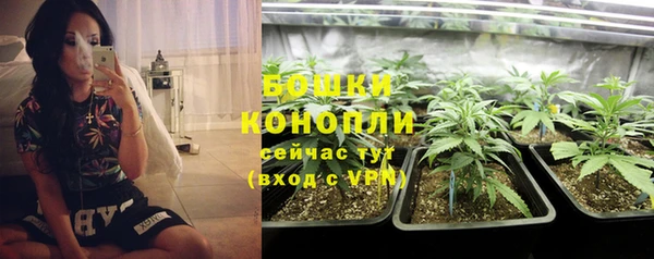 PSILOCYBIN Бикин