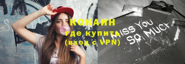 PSILOCYBIN Бикин